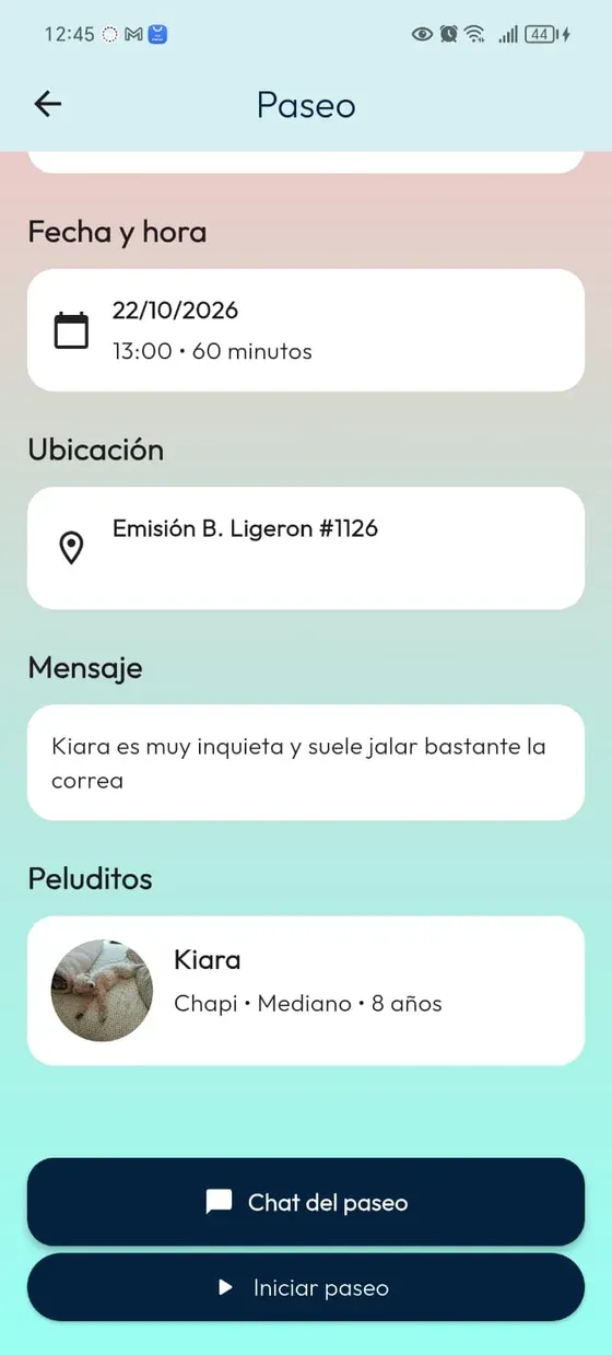Detalle del paseo con fecha, ubicación, indicaciones, peludito y acción Iniciar paseo.