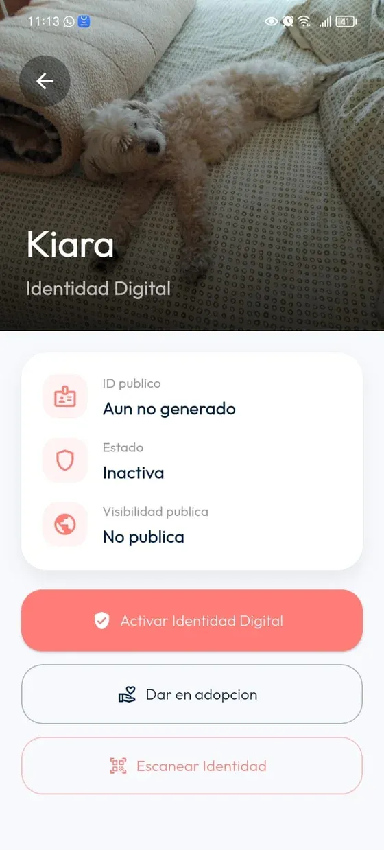Identidad Digital con identificador Aún no generado, estado Inactiva, visibilidad No pública y botón Activar Identidad Digital.
