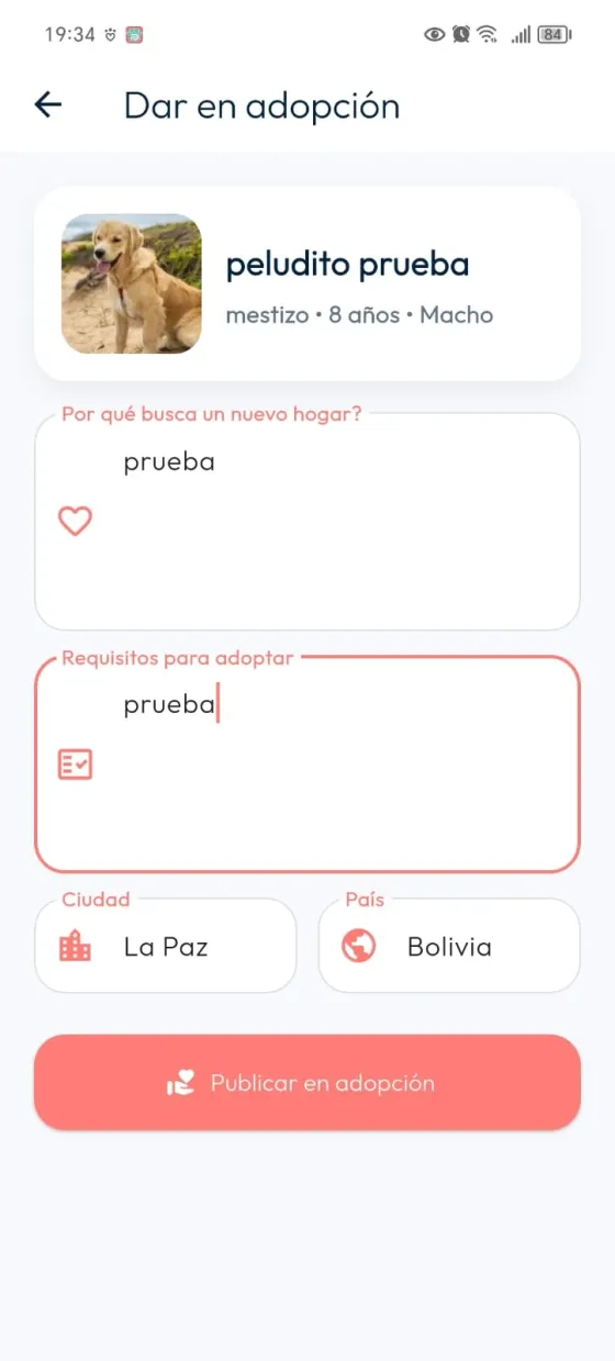 Formulario de adopción completado con motivo, requisitos, ciudad, país y el botón Publicar en adopción.