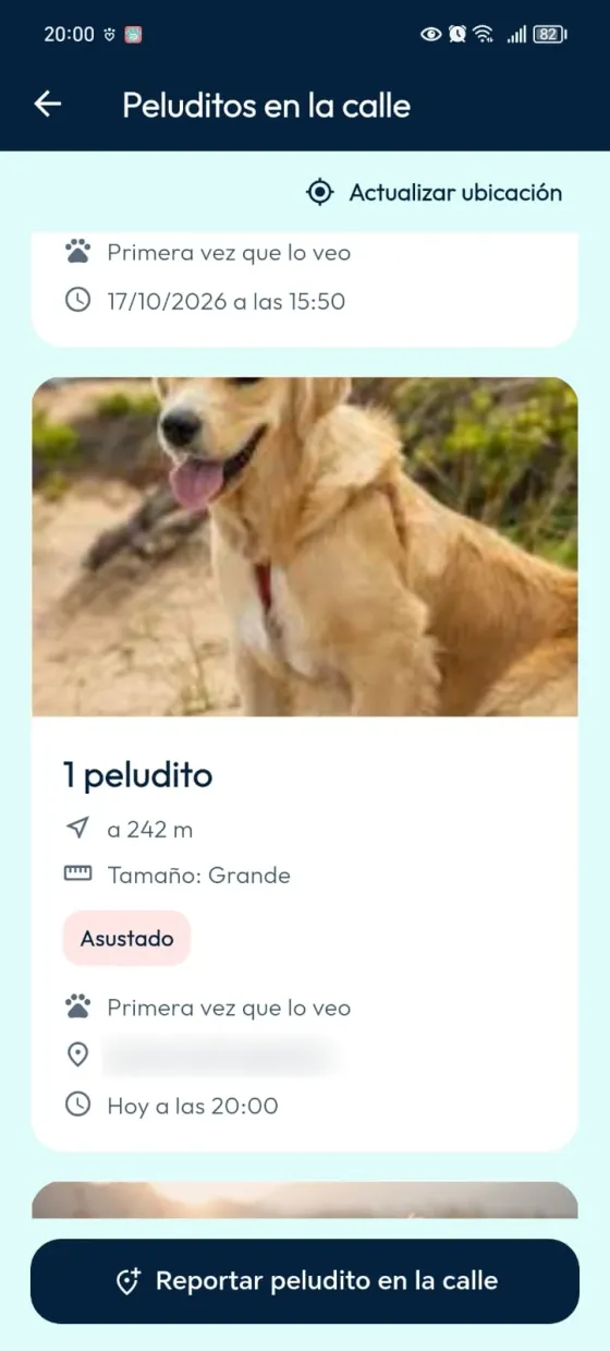 Tarjeta del reporte con fotografía, cantidad, tamaño, condición y hora.