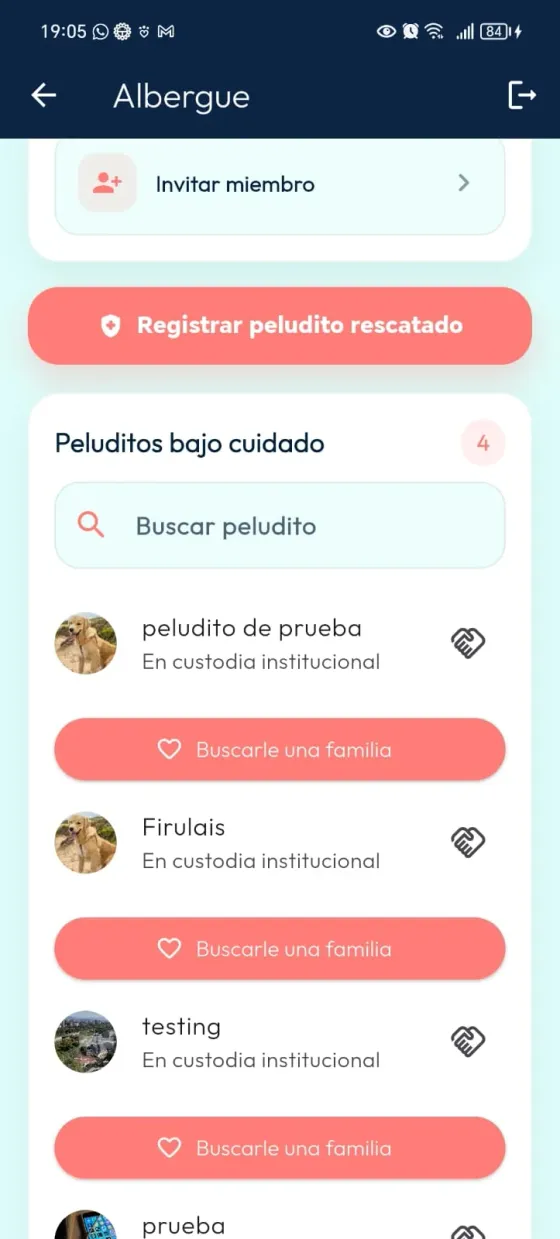 Listado de peluditos bajo custodia institucional con la opción Buscarle una familia.